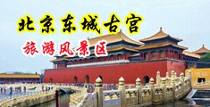 孰妇好深好紧水好多视频中国北京-东城古宫旅游风景区
